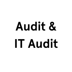 Audit & IT Audit
