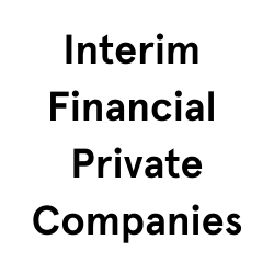 Interim Finance Professional Private Companies