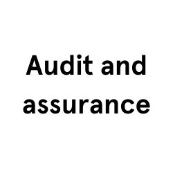 Audit assurance