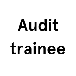 Audit trainee