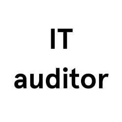 IT auditor vacature