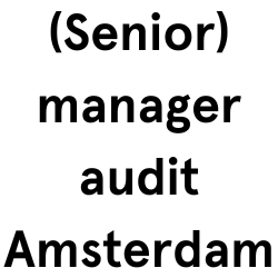 Senior manager audit amsterdam