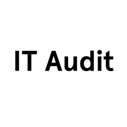 Interim IT Audit (1)