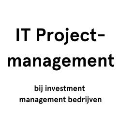 Interim Projectmanagement (1)
