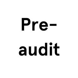Pre-audit (1)
